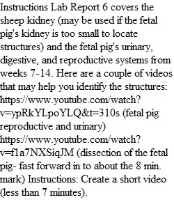 Week 15 Lab Report 6